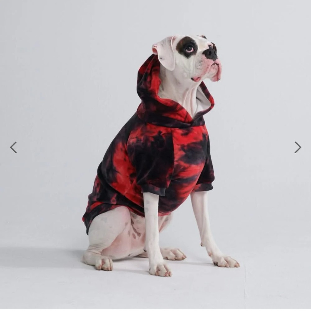 Sparkpaws matching set hoodies human: XL, L and the Pups is an XL